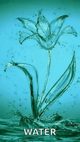 A Flower Made Out Of Water Is Splashing Out Of The Water . GIF