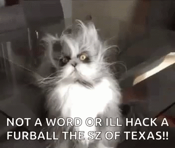 A Fluffy Cat Is Sitting On A Glass Table With A Knife In Its Mouth And A Quote . GIF