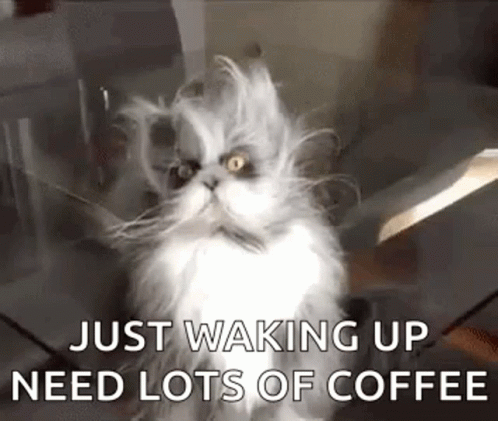 A Fluffy Cat Is Sitting On A Table With The Words `` Just Waking Up Need Lots Of Coffee '' Written Below It . GIF