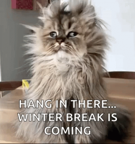 A Fluffy Cat Is Sitting On A Wooden Table . GIF