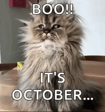 A Fluffy Cat Is Sitting On A Wooden Table And Says Boo ! It 'S October . GIF