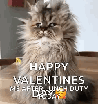A Fluffy Cat Is Sitting On A Wooden Table With A Happy Valentine 'S Day Message . GIF
