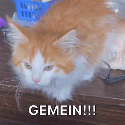 A Fluffy Orange And White Cat Laying On A Wooden Floor With The Word Gemein Written Below It GIF