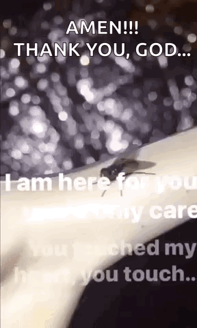 A Fly Is Crawling On A Person 'S Arm With The Words `` Amen !!! Thank You , God .. '' GIF