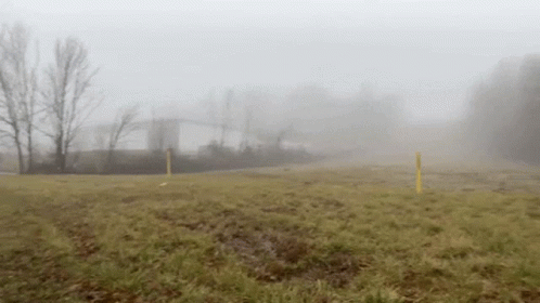 A Foggy Field With Trees And A Building In The Background GIF