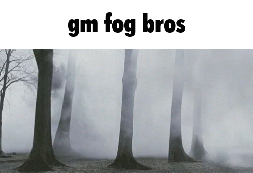 A Foggy Forest With The Words " Gm Fog Bros " At The Top GIF