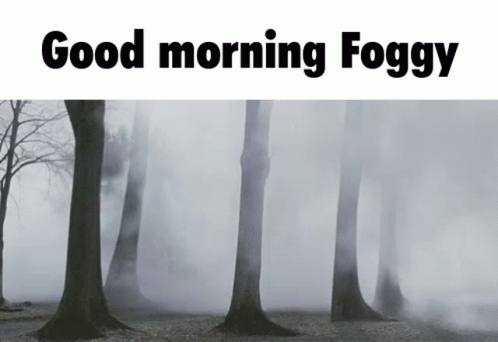 A Foggy Forest With The Words " Good Morning Foggy " Below It GIF