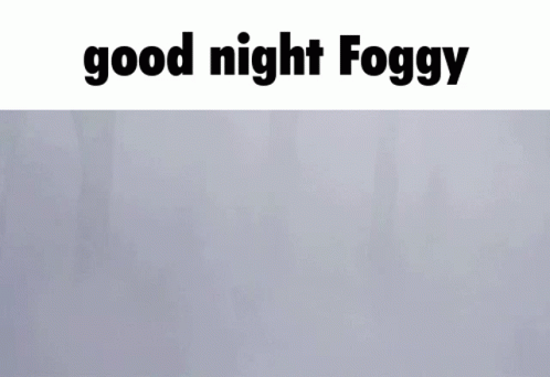 A Foggy Forest With The Words " Good Night Foggy " Below It GIF