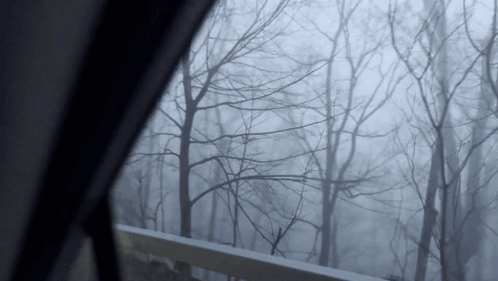 A Foggy Forest With Trees Without Leaves Is Seen Through A Window GIF