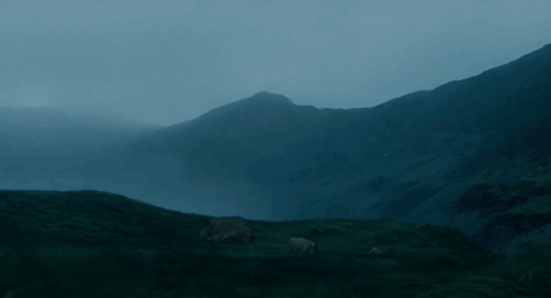 a foggy mountain landscape with a few sheep standing in the foreground