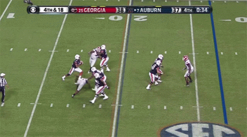 a football game between georgia and auburn