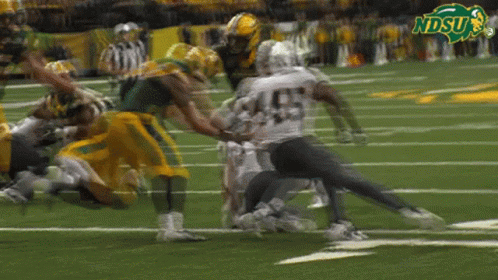 a football game is being played between the ndsu team and the oakland raiders team
