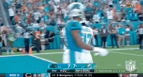 A Football Game Is Being Played Between The Panthers And Dolphins GIF