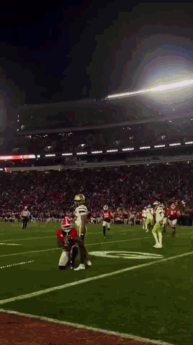 a football game is being played in a stadium with a few players on the field