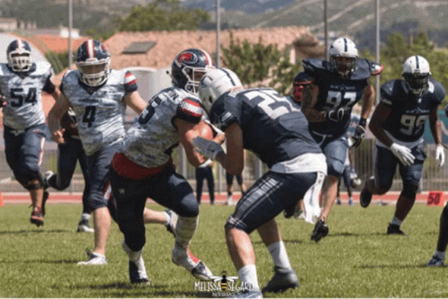 a football game is being played with a player wearing number 22