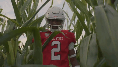 a football player for ball state is standing in a field of tall grass