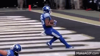 a football player in a blue jersey is running down the field .
