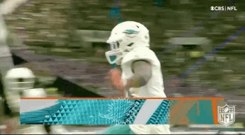 a football player wearing a helmet and a dolphins jersey is standing on a field .