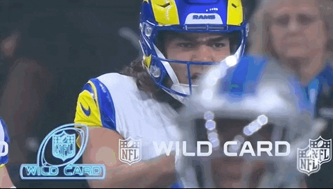 a football player wearing a helmet and a rams jersey is standing in front of a crowd .
