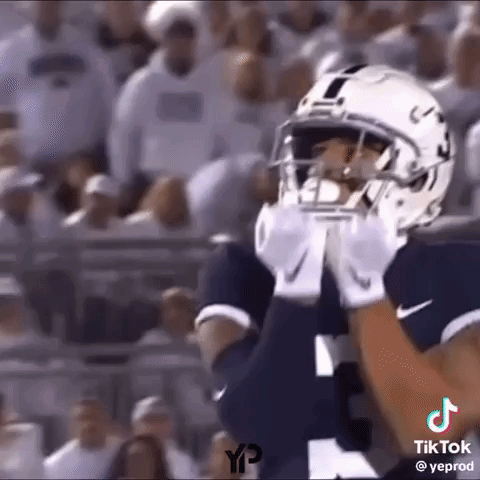 A Football Player Wearing A Helmet And Gloves Is Standing In Front Of A Crowd On A Field . GIF
