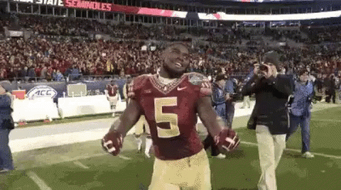 a football player wearing a jersey with the number 5 on it is standing on the field .