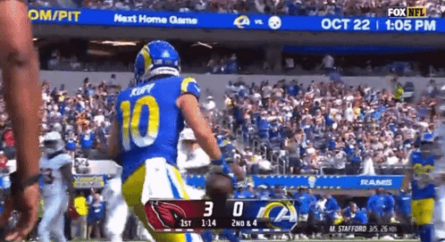a football player wearing a number 10 jersey is running on a field