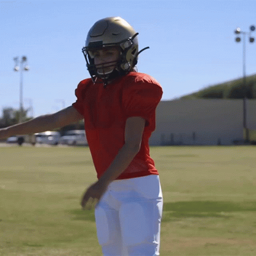 A Football Player Wearing A Red Jersey And A Gold Helmet Stands On A Field GIF