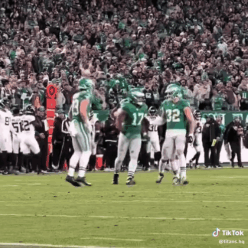 a football player with the number 17 on his jersey stands on the field