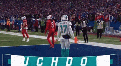 A Football Player With The Number 17 On His Jersey Stands On The Field . GIF