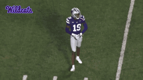 a football player with the number 19 on his jersey is jumping in the air