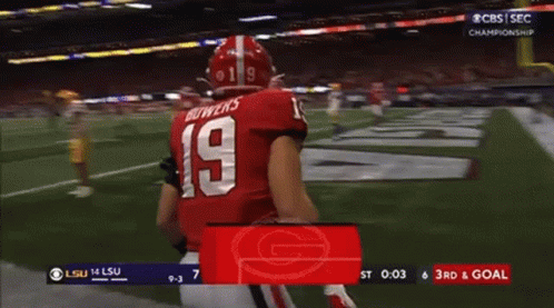 a football player with the number 19 on his jersey is running on the field