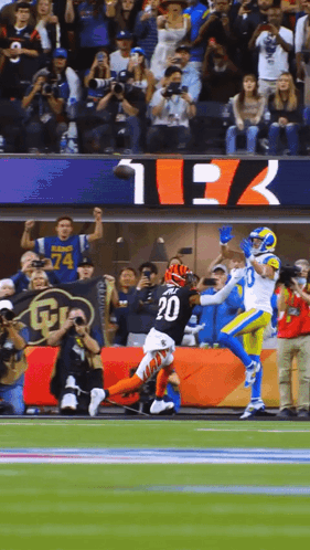 a football player with the number 20 on his jersey catches a pass