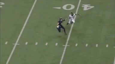 a football player with the number 20 on his jersey is catching a ball
