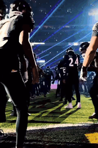 a football player with the number 24 on their back