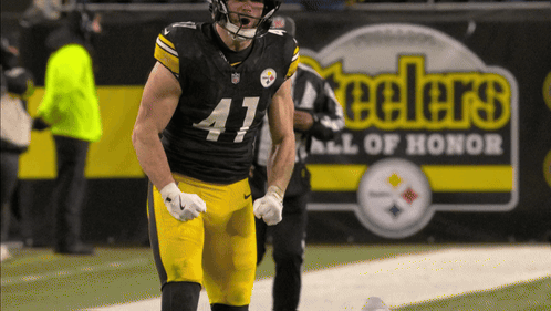 a football player with the number 41 on his jersey stands on the field