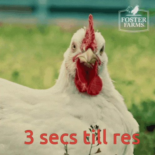 A Foster Farms Advertisement With A Chicken GIF