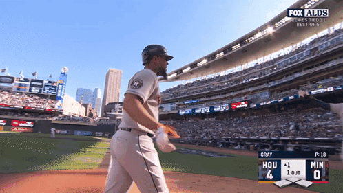 A Fox Alds Baseball Game Is Being Played GIF