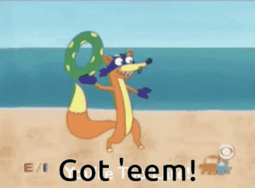 A Fox Holding A Life Preserver On A Beach With The Words Got Teem GIF