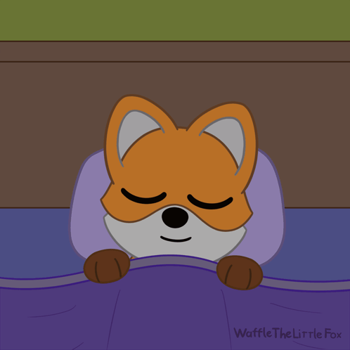 A Fox Is Sleeping Under A Blanket With The Words Good Night Written Above It GIF