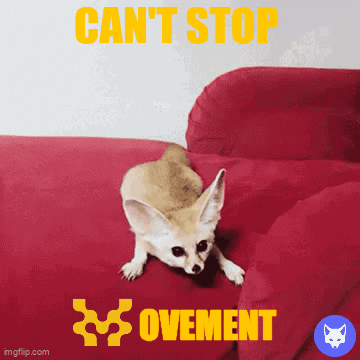 A Fox Laying On A Red Couch With The Words " Can 'T Stop Ovement " On The Bottom GIF