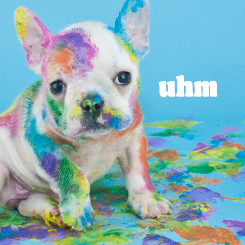 A French Bulldog Puppy Is Covered In Colorful Paint With The Word Uhm Above It GIF