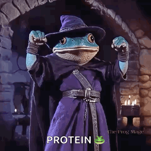 A Frog Dressed As A Wizard With The Word Protein Written On It GIF