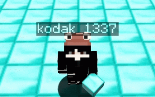A Frog In A Video Game With Kodak 1337 Above It GIF