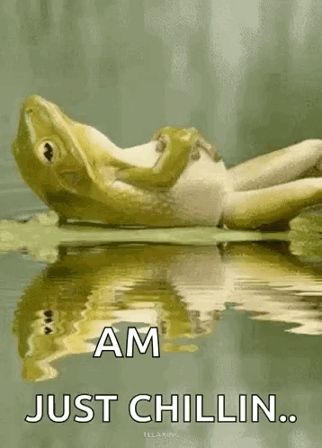 A Frog Is Laying In The Water With The Words Am Just Chillin GIF