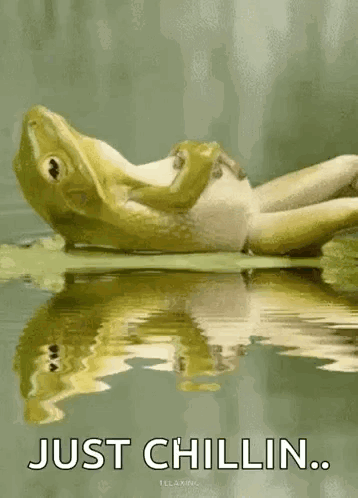 A Frog Is Laying On A Leaf In The Water With The Words Just Chillin GIF