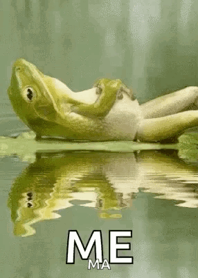 A Frog Is Laying On A Leaf In The Water With The Words `` Me '' Below It . GIF