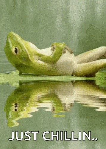 A Frog Is Laying On A Lily Pad In The Water With The Words Just Chillin Below It . GIF