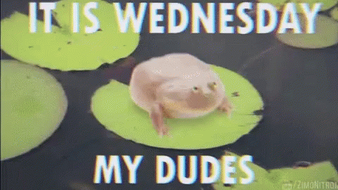 A Frog Is Sitting On A Lily Pad With The Words " It Is Wednesday My Dudes " GIF