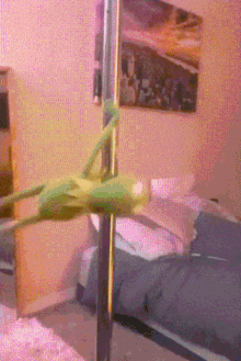 A Frog On A Pole In A Bedroom GIF