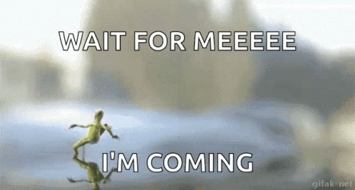 A Frog Says Wait For Meeeee I 'M Coming In Front Of A Car GIF